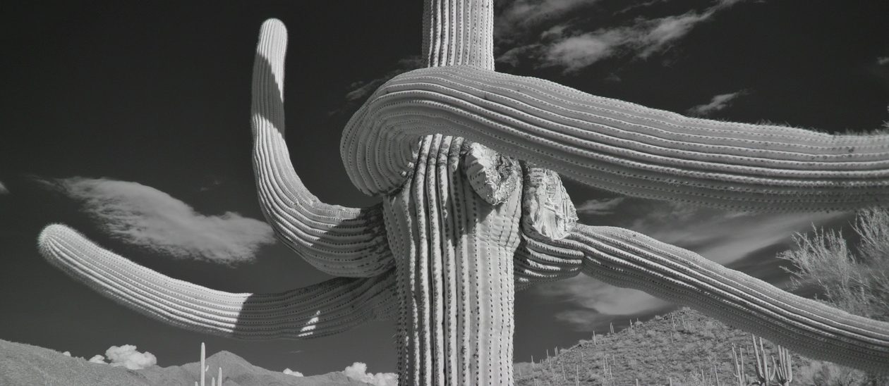 myvintagecamerasblog